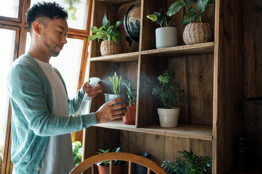 Man arranging houseplants on his bookcase