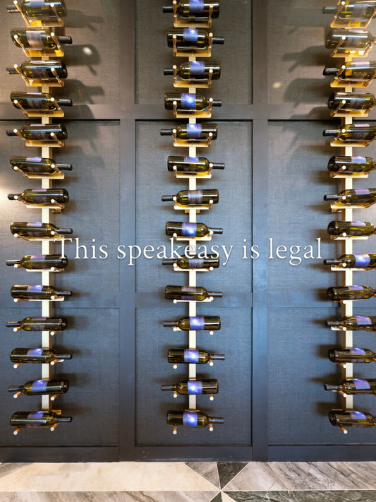A speakeasy made with a Hidden Panel Murphy Door