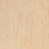 Maple Veneer (Single Door)