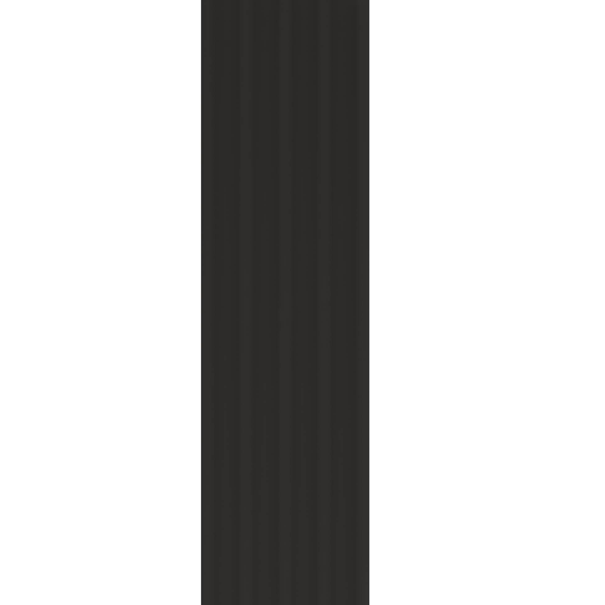 Sleek dark gray Murphy Door® hidden door with vertical paneling, blending into a dark interior.